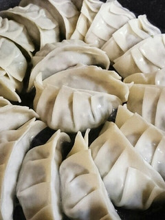 基本の餃子-レシピのメイン写真
