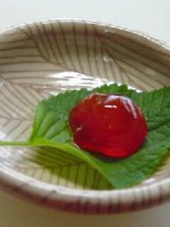 卵黄の味噌漬け-レシピのメイン写真