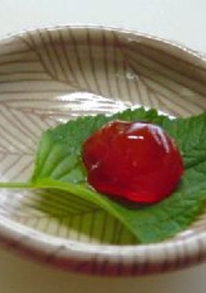 卵黄の味噌漬け-レシピのメイン写真