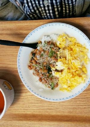 大人も子どもも！納豆しらす丼-レシピのメイン写真