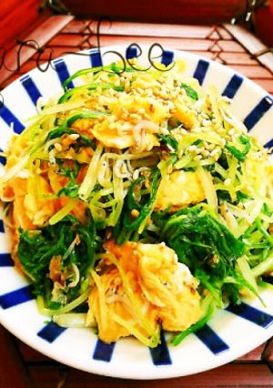 ふんわり卵と水菜の胡麻ジャコおかか和え-レシピのメイン写真