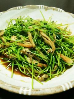 豆苗と舞茸のオイスターソース炒め!-レシピのメイン写真