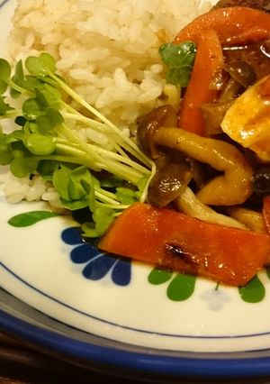 きのことゴボウの煮込みハンバーグ❤-レシピのメイン写真