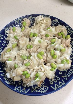 フライパンで豆腐とひき肉のシューマイ-レシピのメイン写真