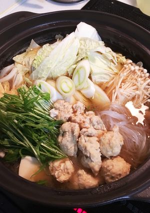 ♪寒い日の我が家の定番、鶏団子鍋♪-レシピのメイン写真