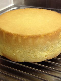 スポンジケーキ-レシピのメイン写真