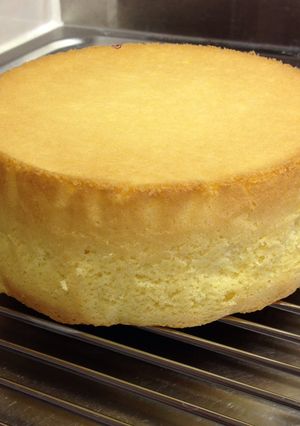 スポンジケーキ-レシピのメイン写真