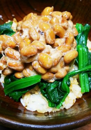 ヘルシー☆えごま油の納豆丼-レシピのメイン写真