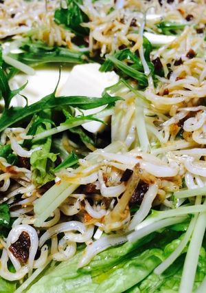 シラスと豆腐のサラダ アンチョビソース-レシピのメイン写真