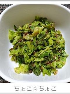 キャベツとちりめん山椒の和え物-レシピのメイン写真