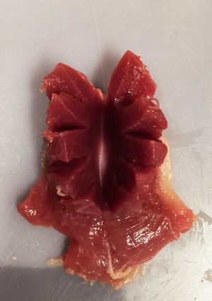 砂肝飾り切り-レシピのメイン写真