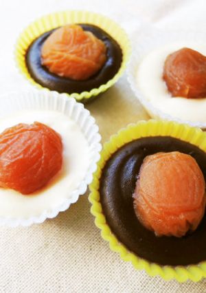 2種類のチョコレートにあんずを飾って-レシピのメイン写真
