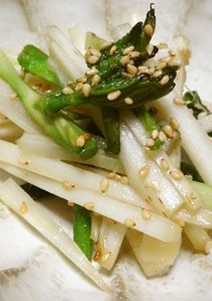 ウドの塩きんぴら-レシピのメイン写真