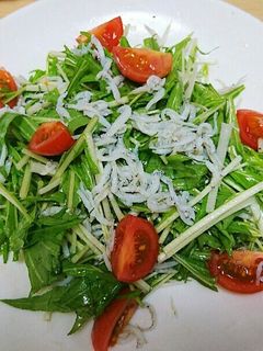 超簡単‼しらすと水菜のサラダ-レシピのメイン写真