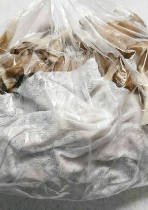 まいたけの冷凍保存-レシピのメイン写真