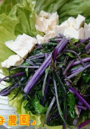 紫水菜のサッと炒めサラダ-レシピのメイン写真