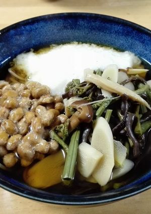 とろろ山菜納豆蕎麦～～～～～(^^♪-レシピのメイン写真