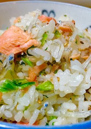 "簡単美味" ジャコと鮭の混ぜご飯!-レシピのメイン写真