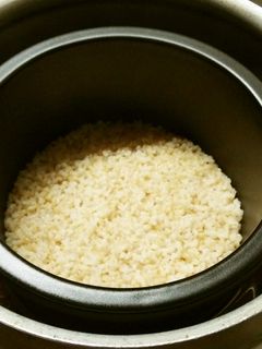 カムカム鍋&圧力鍋でふっくらもちもち玄米-レシピのメイン写真