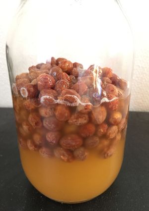 【自家製酵母】レーズンの酵母液-レシピのメイン写真