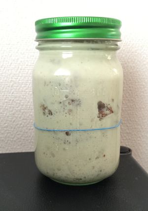 【自家製酵母 元種】-レシピのメイン写真