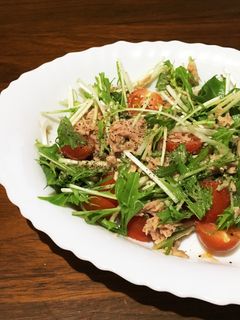 水菜とミニトマトのサラダ-レシピのメイン写真