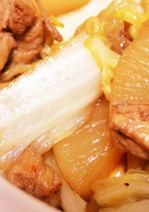 鍋の残り野菜で*簡単!鳥肉と大根の煮物-レシピのメイン写真