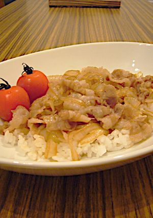 牛丼 豚丼-レシピのメイン写真