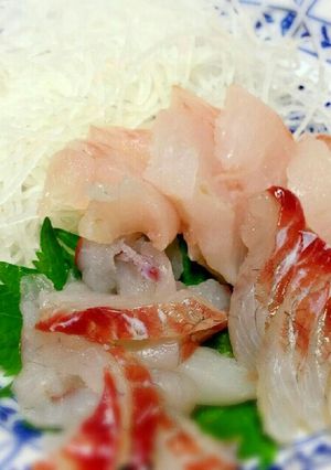 メバルとチヌの刺身-レシピのメイン写真