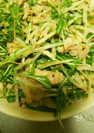 水菜とモヤシたっぷり!シャキ肉サラダ-レシピのメイン写真