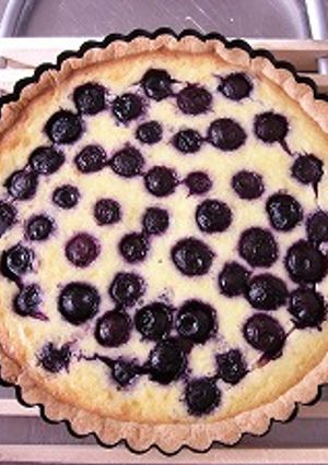 ブルーベリーチーズタルト-レシピのメイン写真