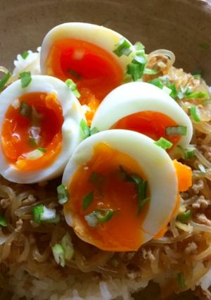時短レシピ！シラタキ丼トロトロ卵付き-レシピのメイン写真