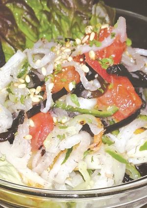 だいこんとひじきのサラダごま風味-レシピのメイン写真