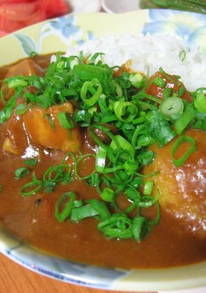 本格風☆ウチのカレーねぎトッピング!-レシピのメイン写真