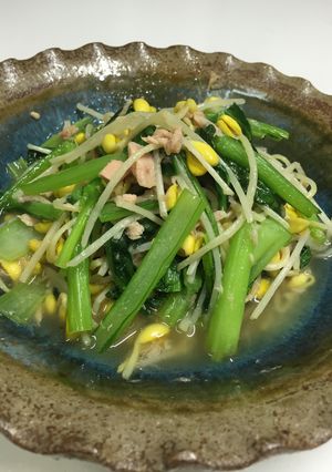 チンゲン菜と豆もやしの炒め-レシピのメイン写真