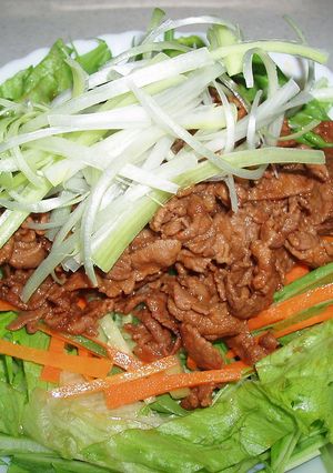 ボリュームたっぷり★お肉のサラダ-レシピのメイン写真