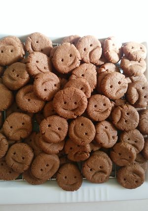 ちょっぴり本気のチョコレートクッキー-レシピのメイン写真