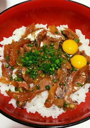 釣りたてアジのヅケ丼-レシピのメイン写真