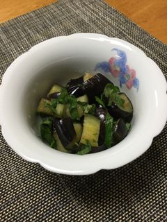 なすときゅうりのお漬物♪-レシピのメイン写真