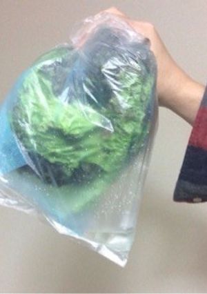 かんたん♪ 裏技♪ 野菜の水切り方法♪-レシピのメイン写真
