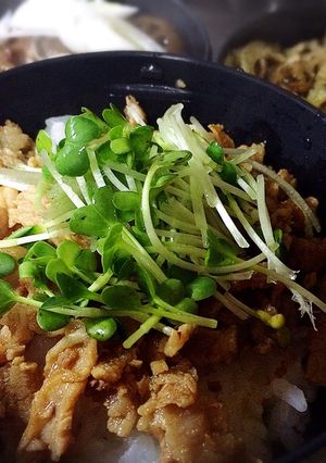 お弁当用に作り置き♪ 豚肉の生姜煮-レシピのメイン写真