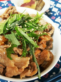 胡麻油が香る豚丼-レシピのメイン写真