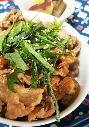 胡麻油が香る豚丼-レシピのメイン写真
