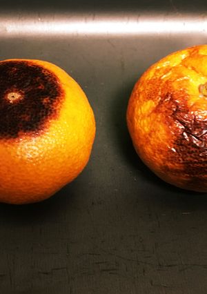 美容にいい焼きみかん!!-レシピのメイン写真