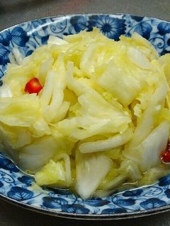袋に入れるだけ☺白菜の漬物✌-レシピのメイン写真