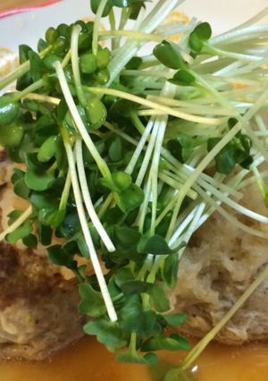 トリプル大根バーグ-レシピのメイン写真