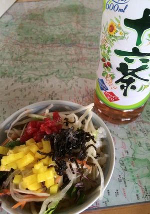 野菜を食べる!十六茶漬け♪-レシピのメイン写真