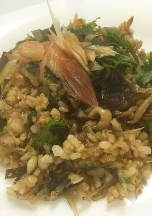 獅子唐、茗荷、雑魚、霜降り平茸の焼き飯-レシピのメイン写真