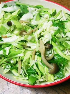 水菜でシャキシャキ☆簡単きのこサラダ-レシピのメイン写真