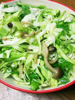 水菜でシャキシャキ☆簡単きのこサラダ-レシピのメイン写真